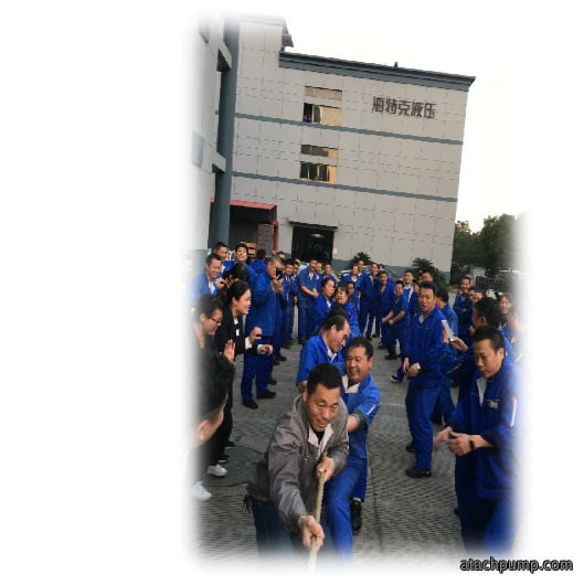 1548034637717254cCba.png